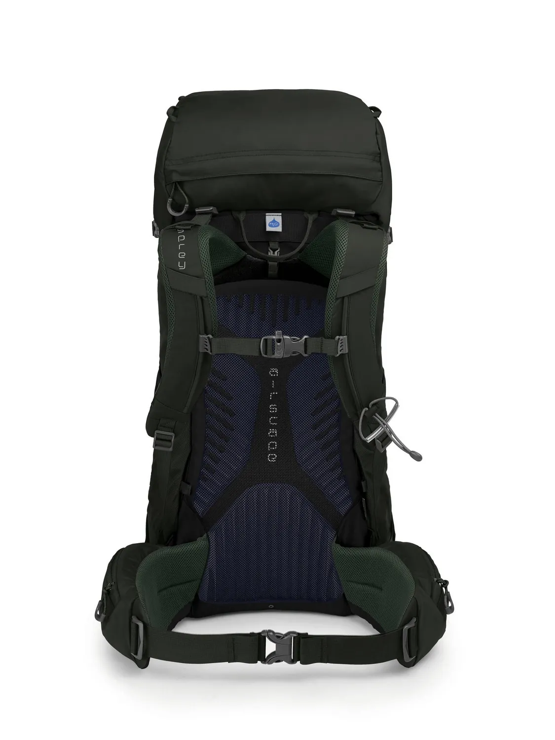 Backpack Osprey Kestrel 38 Picholine Green (S/M)